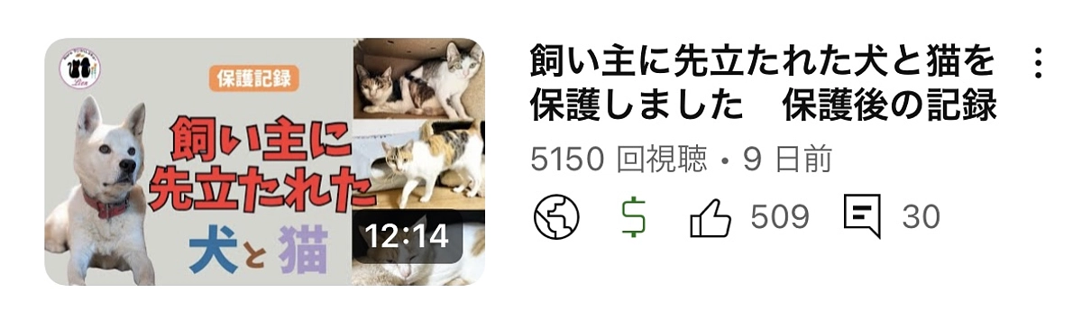 飼い主に先立たれた犬と猫
