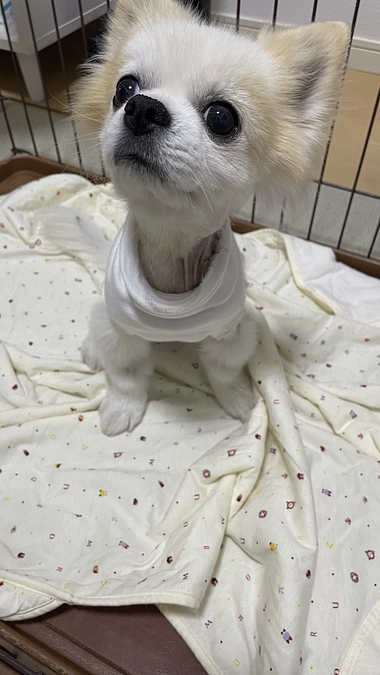 あれから3日目！