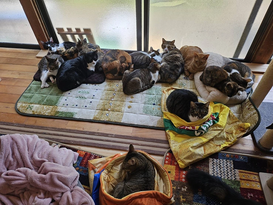 縁側で日向ぼっこ(^^)