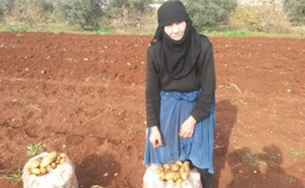 5,000円寄付コース