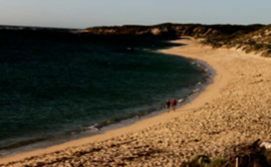 シンプル応援コースA / リターン不要な方へ