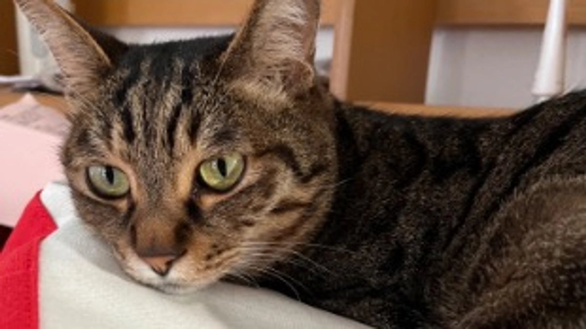 【今日のなっちゃん】6月3日