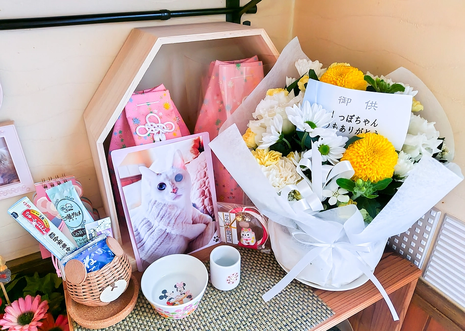 お花をいただきました💐