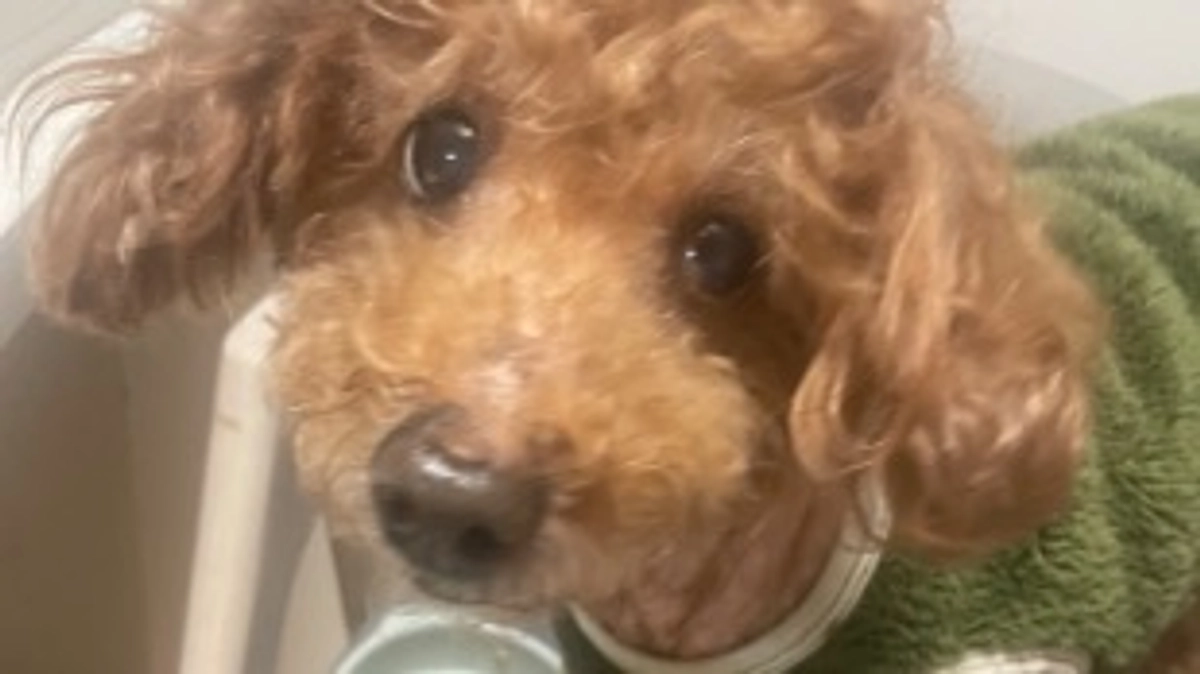 残り2日となりました