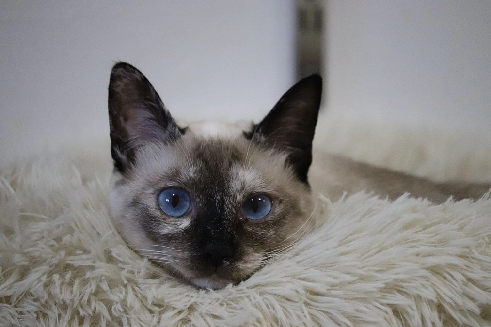 お礼の手紙とポストカードを発送しました