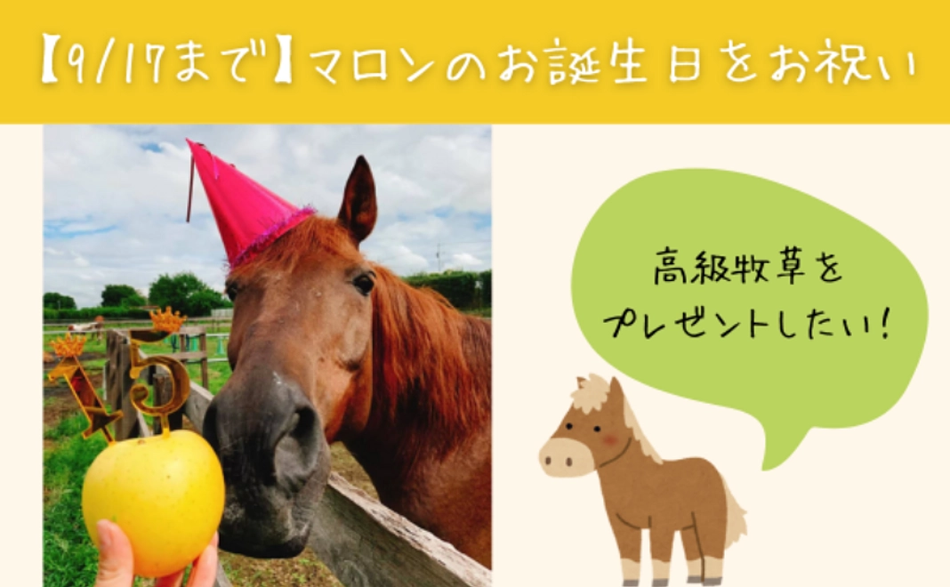 【9月17日まで】「マロン」のお誕生日お祝いコース