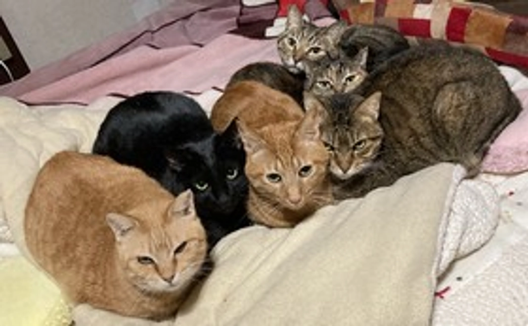 リターン御不要な方向け: 全力応援 1口 1万円ごとコース