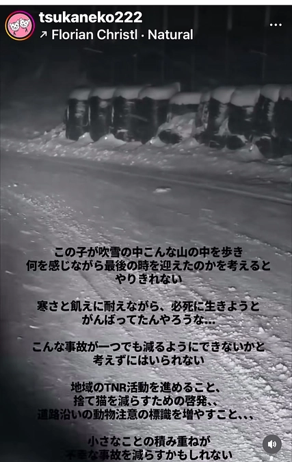 300万円突破の感謝と、2500万円への挑戦へのお願い