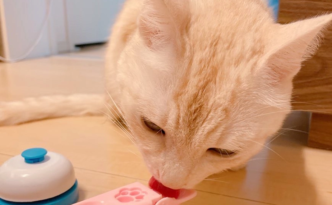 明日への元気を！コース