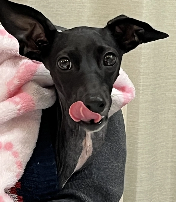 美味しかったワン😋