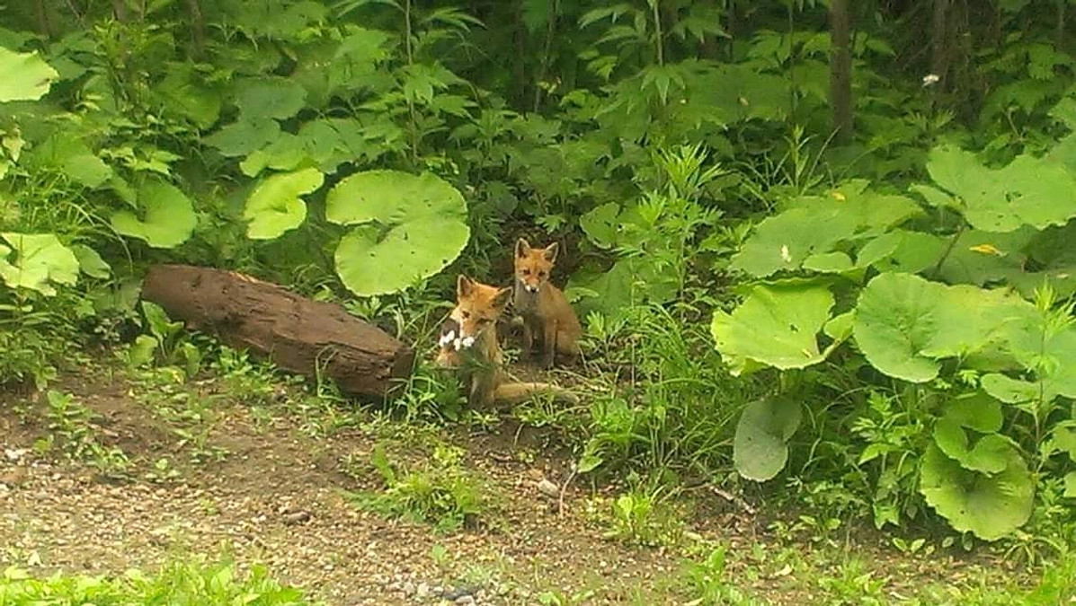 施設はこんな方にも使ってもらえると思っています！