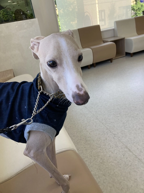 1ヶ月検診に行ってきました