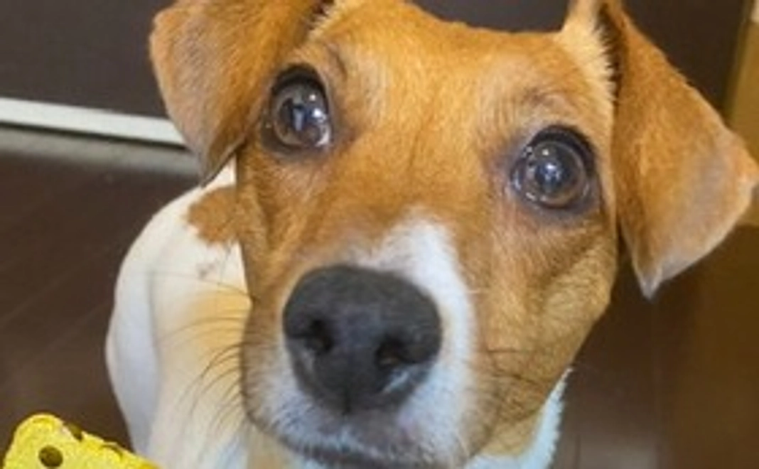 頑張れ！サラン②