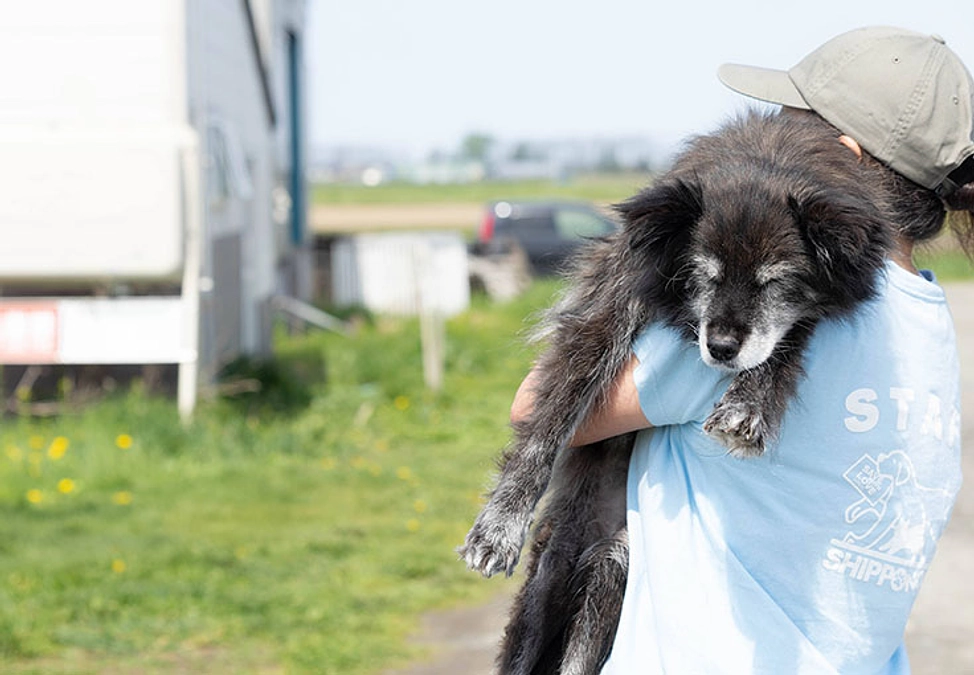 悲しいご報告　ポトフが虹の橋へと旅立ちました