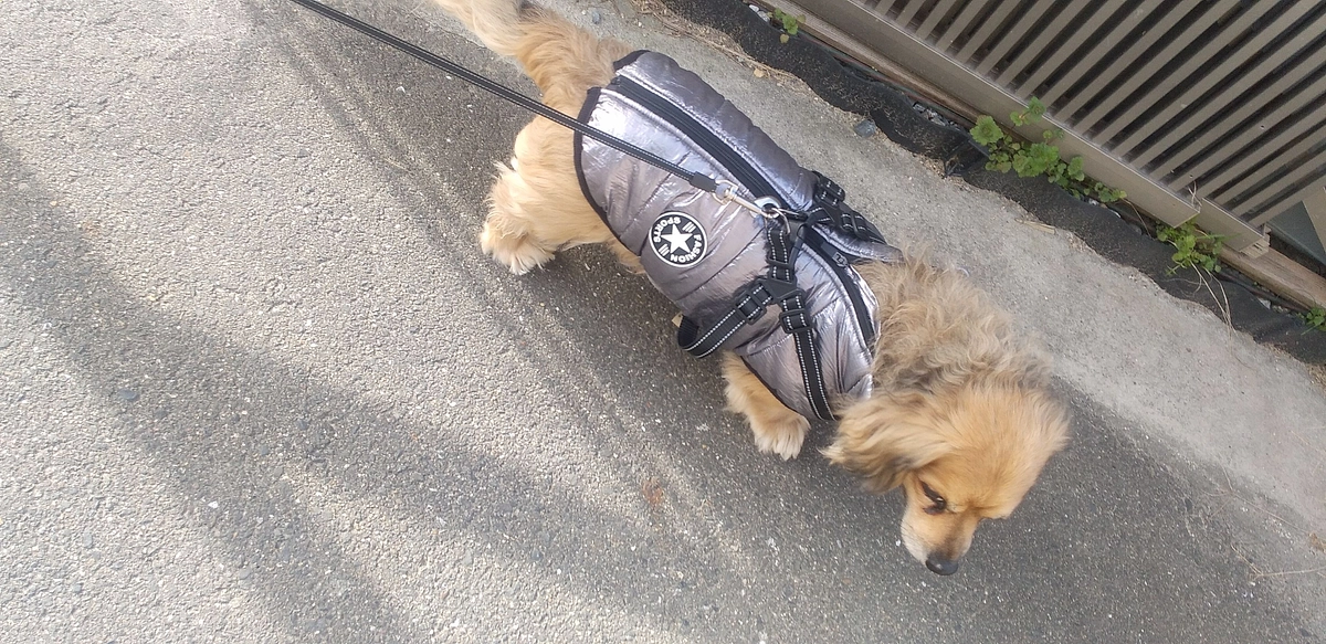 代理支援のご報告