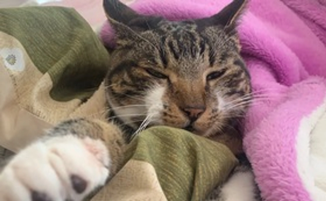 かわいいくるみの写真2枚