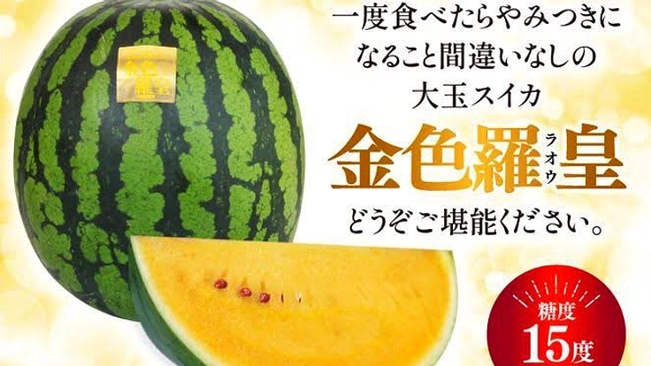 金色羅王スイカの美味しさを広めるためのスイカ畑拡大プロジェクト