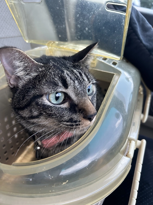 ネクストゴール挑戦中！