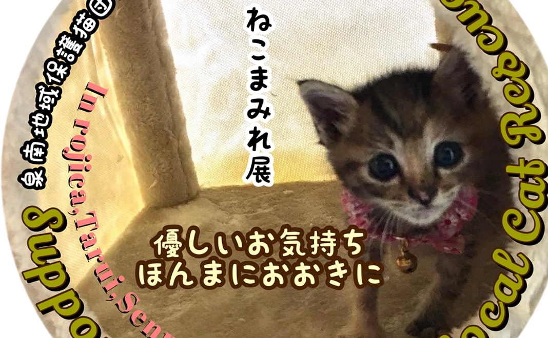 サンクスメッセージ＋限定保護猫感謝ステッカー