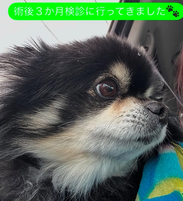 ご無沙汰しております🙇‍♀️【術後３ヶ月検診とリターンについて】