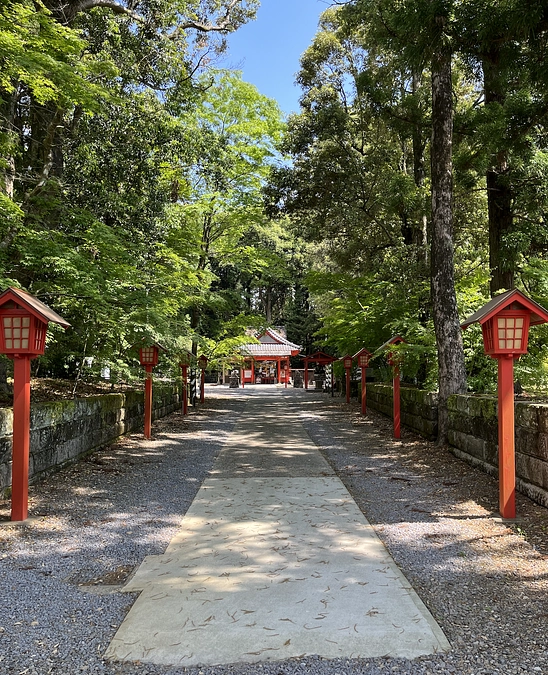  おかげさまで最終目標金額を大きく上回るご支援をいただきました