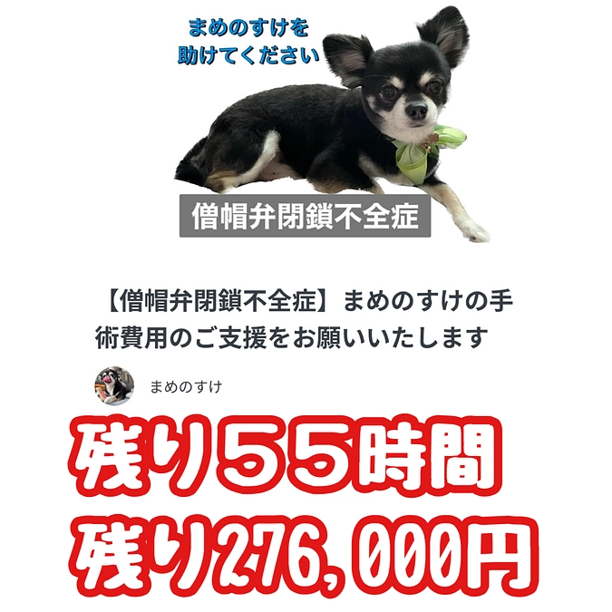 残り５５時間　達成率６５％
