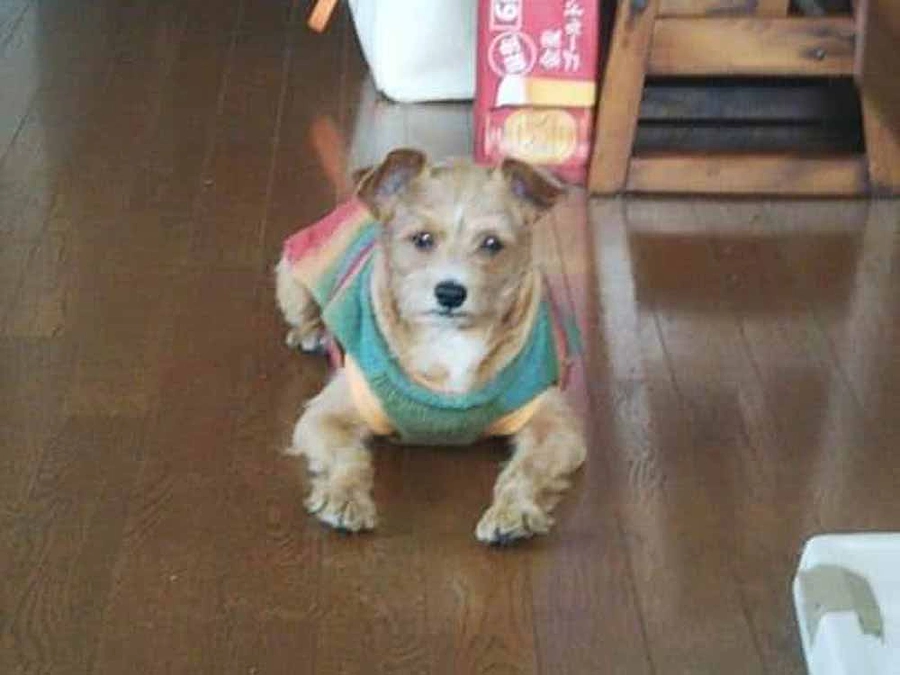 ご支援ありがとうございます　本日23時NEXTゴールです