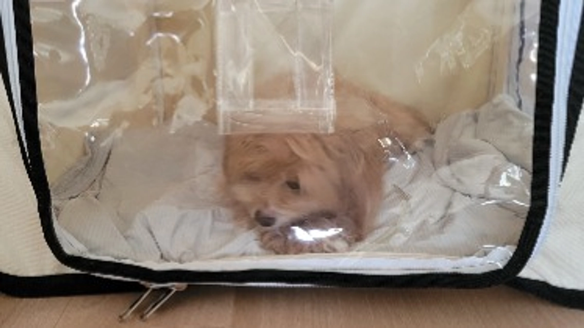 肺水腫再発で、入院・・・