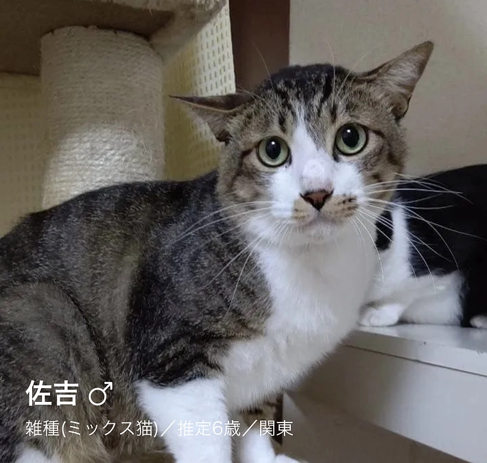 インスタLIVEのお知らせ！7月13日(土)