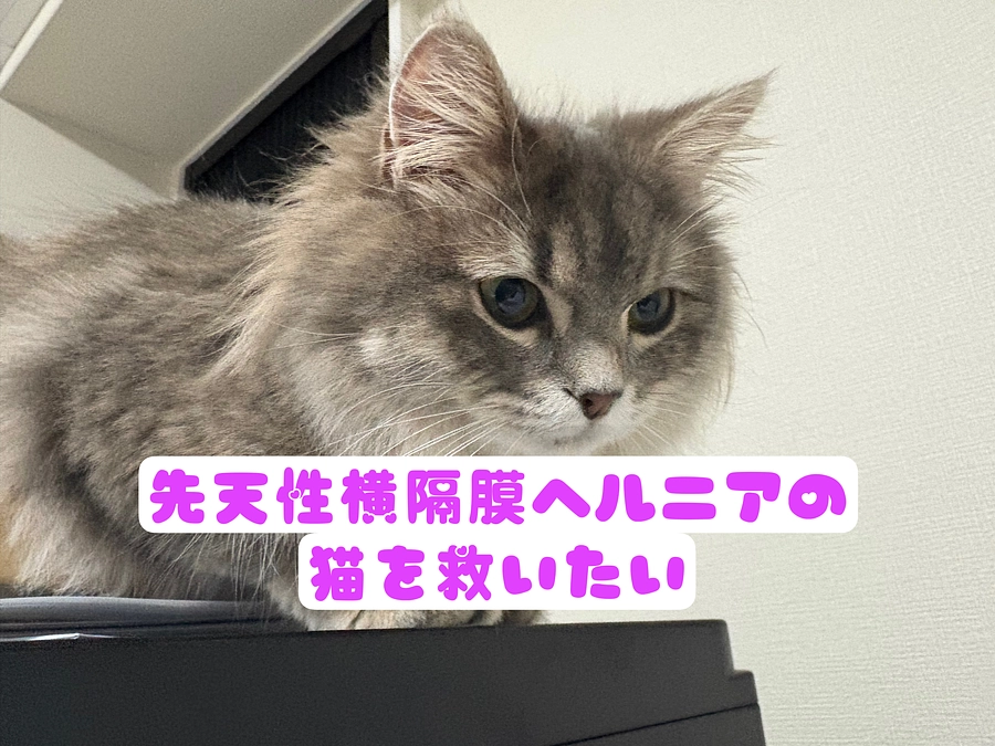 残り45分となりました。