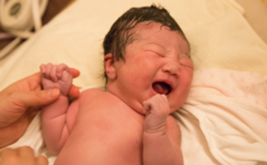 【プロジェクトの応援コース】