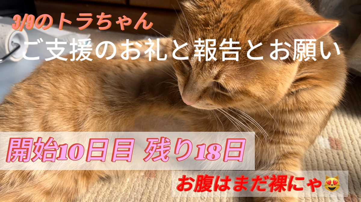 ご支援のお礼と報告とお願い（3/9分）