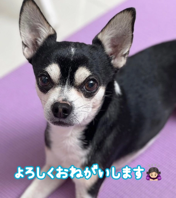 費用の内訳について