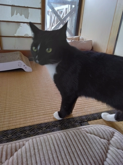 4/23はなちゃんの様子