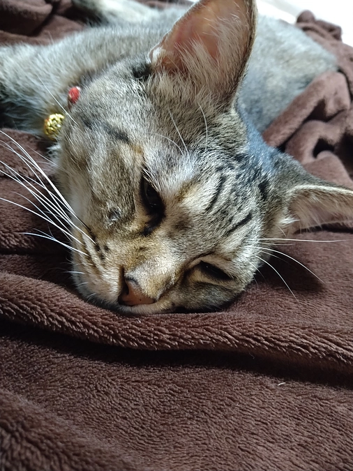 クラファン終了まで２時間を切りました