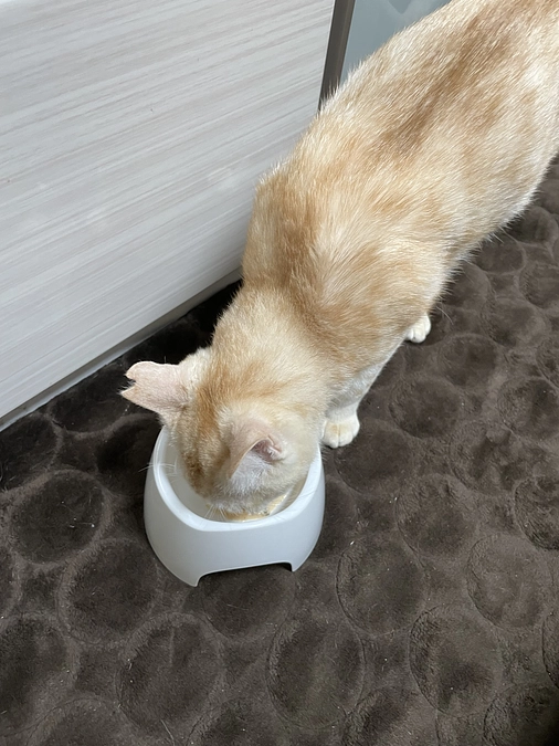 あと二週間でお薬が終わります！