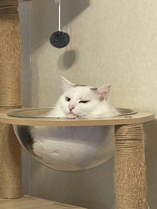 明けましておめでとうございます