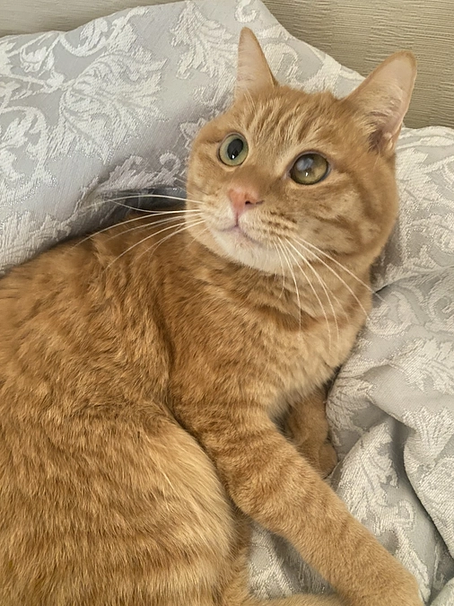 むぎちゃんの近況