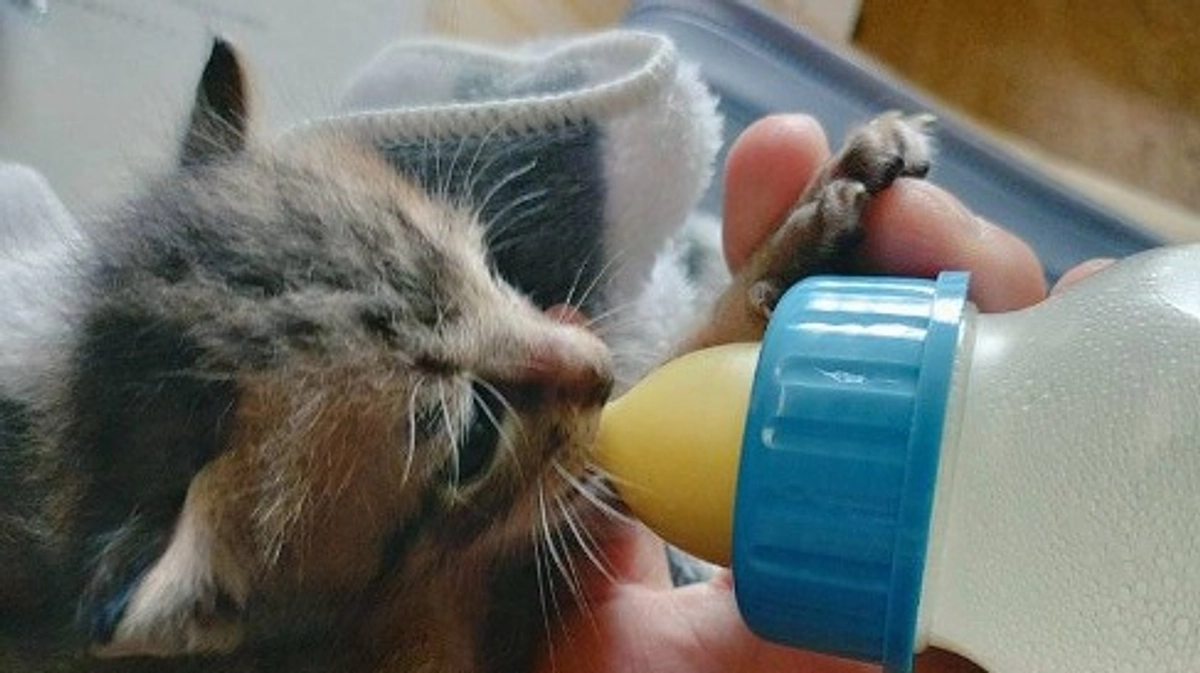 残り23日！挑戦できる期限は刻々迫っています！皆さん、どうかご支援、拡散のご協力を宜しくお願いします