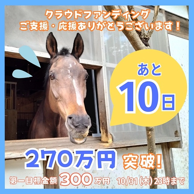 【終了まであと10日！】余生の送り方