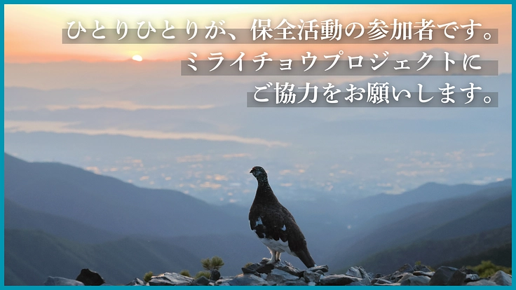 #みんなでつなぐライチョウの未来|ミライチョウプロジェクト第二弾 5枚目