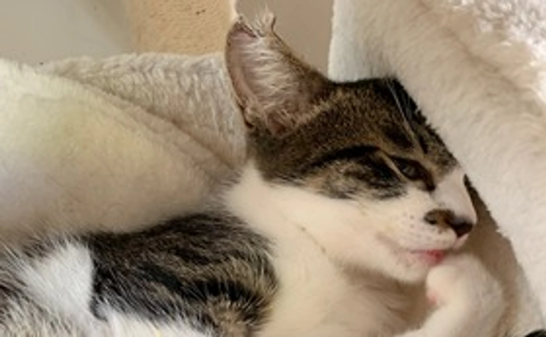 頑張れ‼️ウニちゃん＊3000