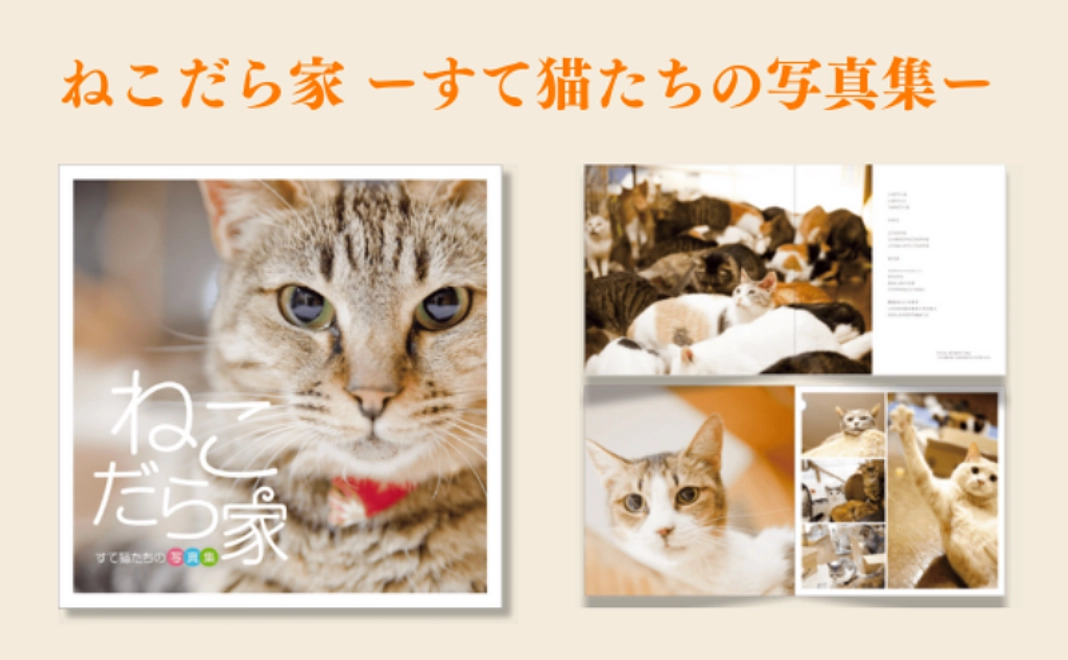 【グッズで応援！】 すて猫たちの写真集で応援｜5万円