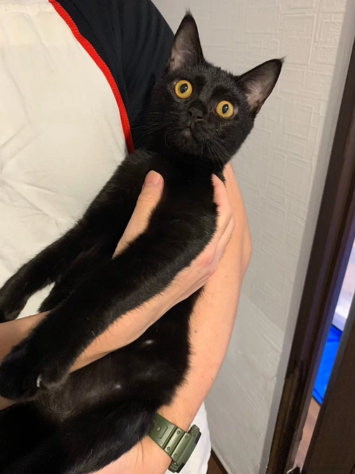 むぅちゃんの闘病日記①