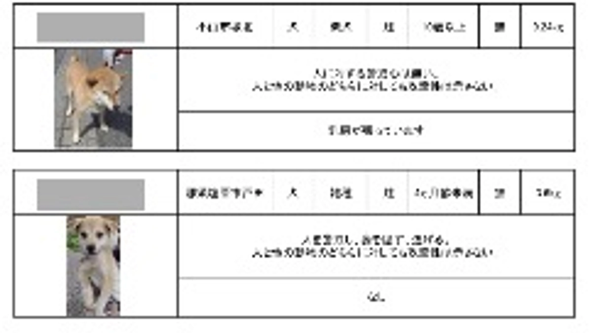 処分を決められた世界…