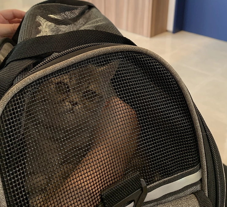 7/10はじめての検査.3