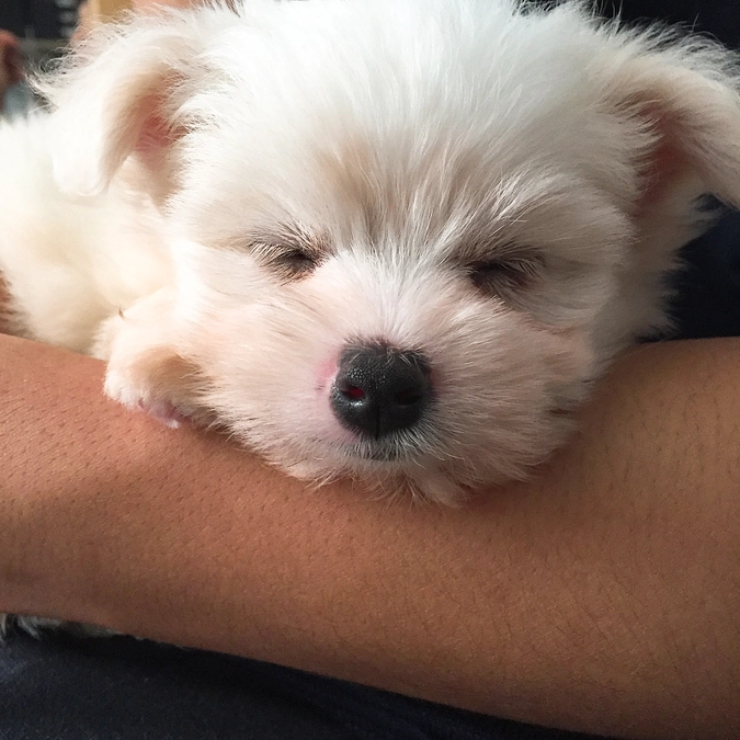 そるとの命をつないでくださり、心から感謝を申し上げます