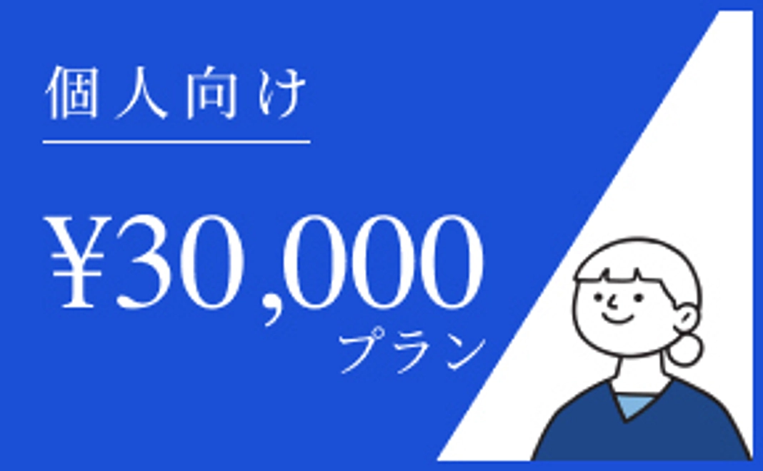 （個人向け）30,000円プラン