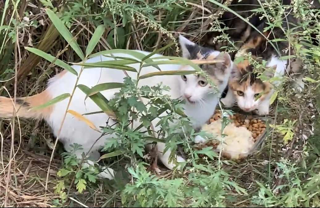 多くのご支援を誠にありがとうございました。無事にNEXT GOALを達成することが出来ました！