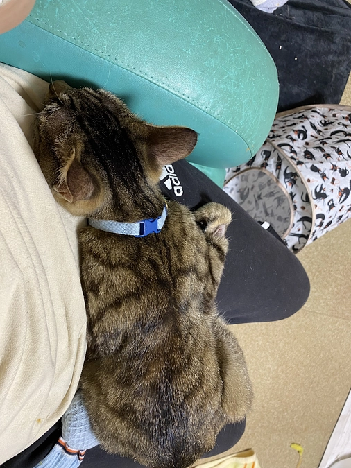 10月23日のために